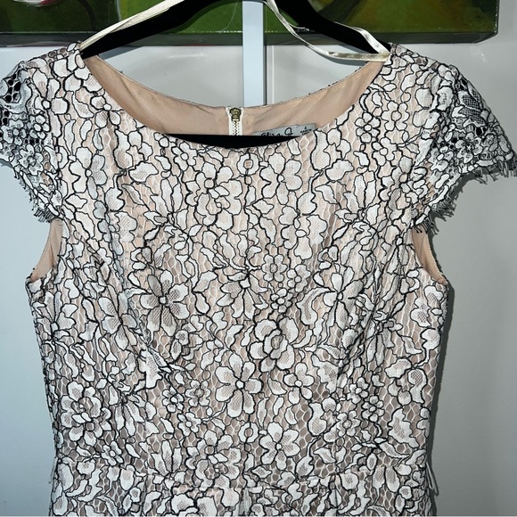 Eliza J Cream & Black Lace Cocktail Dress with Pockets Size 4 - Picture 13 of 15